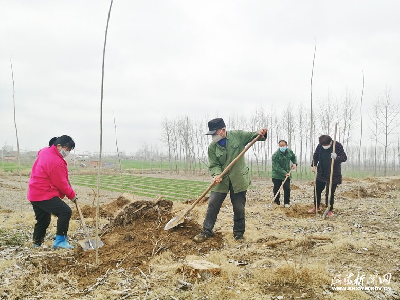 各鎮(zhèn)（區(qū)、街道）掀起植樹(shù)綠化熱潮