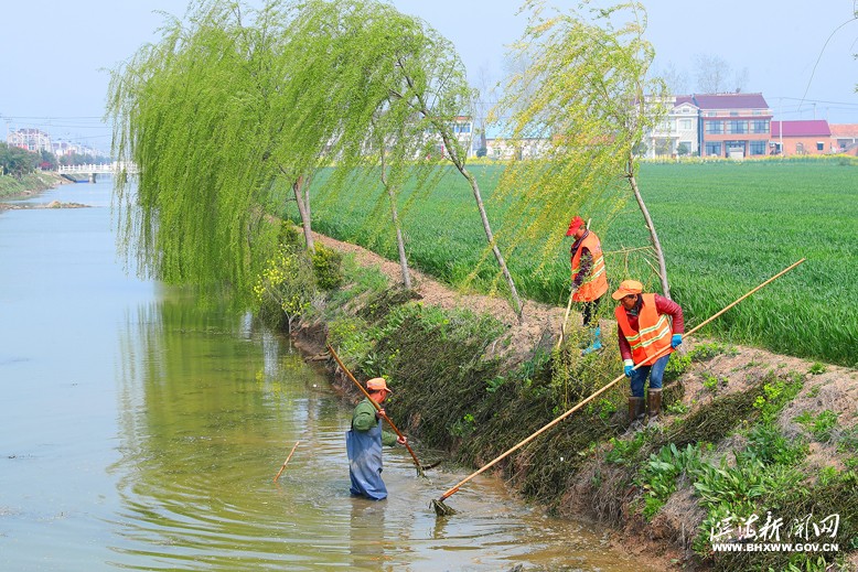 八巨鎮(zhèn)前案村保潔人員清理河道水草雜物