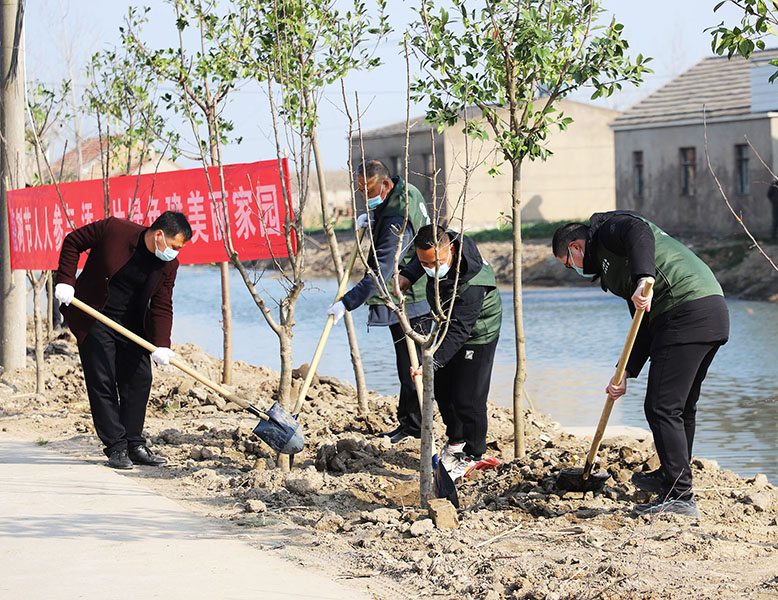 五汛鎮(zhèn)植樹造林現(xiàn)場