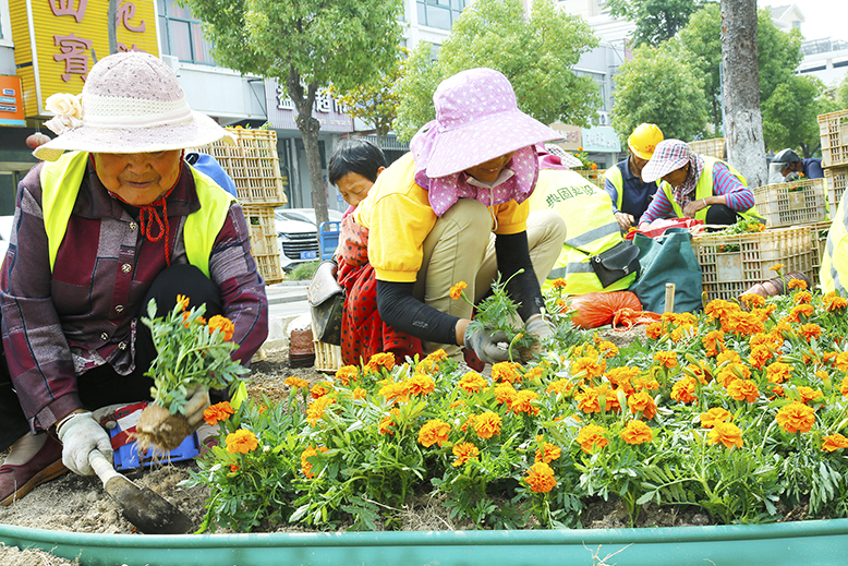 縣城管局更換和補植縣城公共綠地內(nèi)的花草